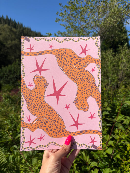 Starry Safari
