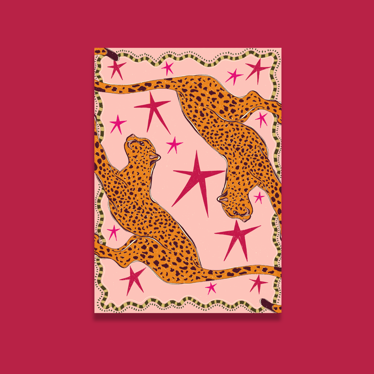 Starry Safari