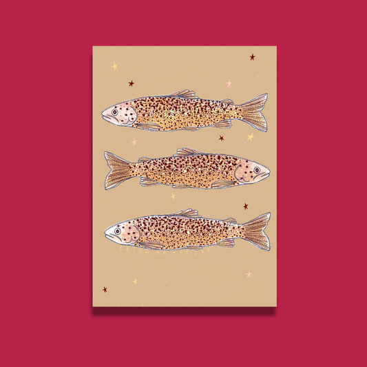 Catch of the Day