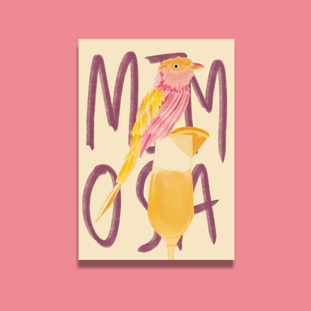 Mimosa Mornings
